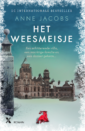 <em>Het weesmeisje</em> – Anne Jacobs