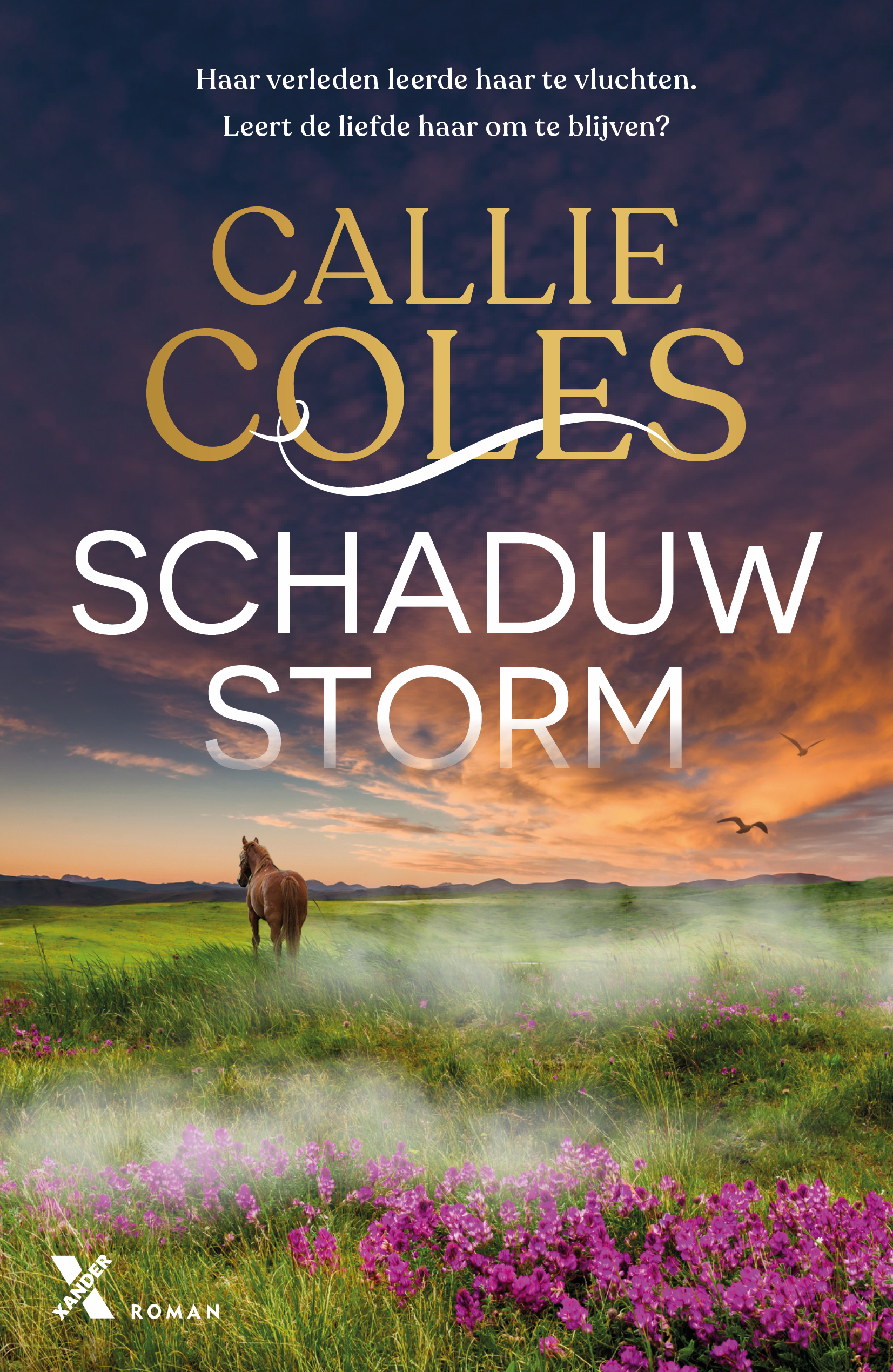 Schaduwstorm - Callie Coles 'Schaduwstorm' - Callie Coles