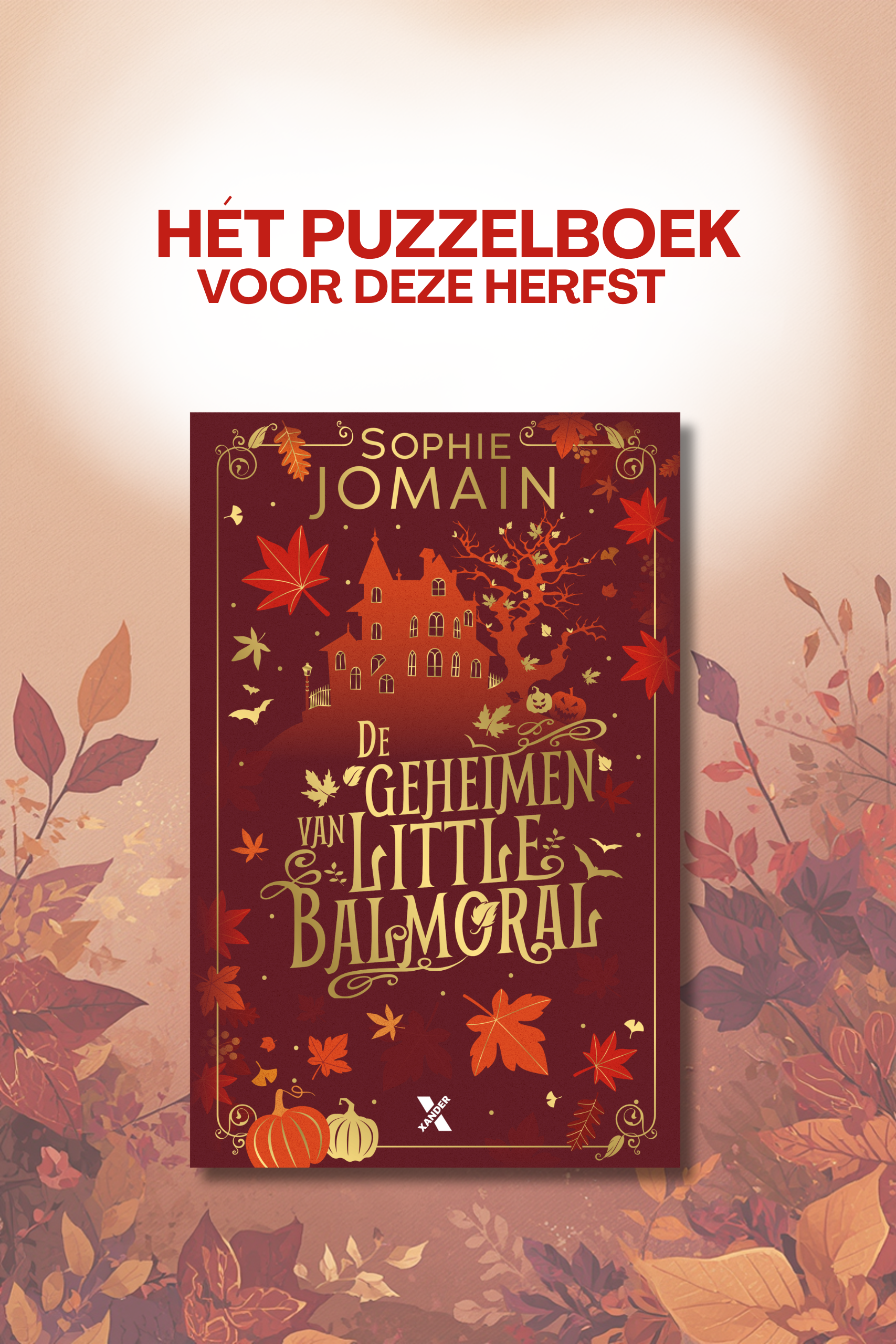 Het puzzelboek voor deze herfst: 'De geheimen van Little Balmoral' van Sophie Jomain